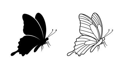 Butterfly Silhouette And Line Drawing On White Background © Photo Sell