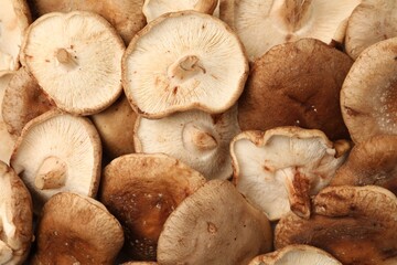 Fototapeta premium Many raw shiitake mushrooms as background, top view