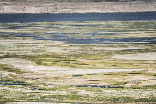 A Pamir Mountains landscape in a valley with green grassy meadows and pastures, clear lakes and rivers with blue water in the Tien Shan Mountains, landscape texture for the background