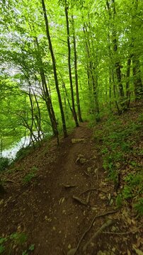 No animals or humans visible. Grza River Spring, Serbia. Vertical