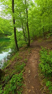 Green leaves sway gently beside a calm. Grza River Spring, Serbia. Vertical