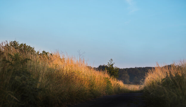 Natur am Morgen Feldweg zum Sonnenaufgang im Hitze Juni
