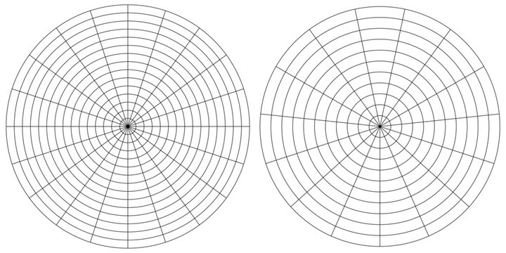 Coaching tool. Polar grid of 10 segments and 5 concentric circles. Circle diagram of lifestyle balance. Wheel of life template. Vector blank polar graph paper. Blank.