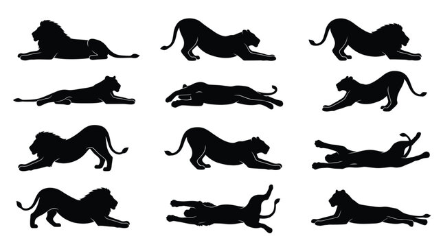 Black silhouettes of lions and leopards lying and running Vector