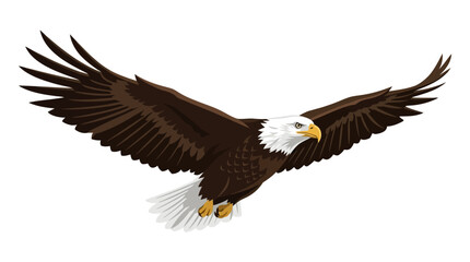 Fototapeta premium American Bald Eagle, Flying Eagle, Brown White Bird, Wildlife Icon