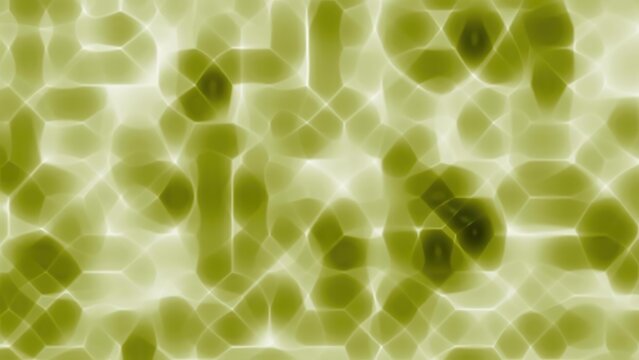 Close-up of green algae cells under microscope