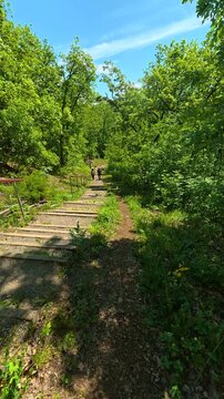Sunlight filters through tall green trees. Gradac River, Serbia. Vertical