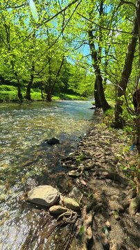 Riverbed reveals smooth stones. Gradac River, Serbia. Vertical