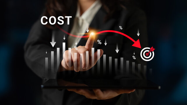Businesswoman Analyzing Cost Reduction Strategies with Graphs and Percentages for Effective Financial Management and Operational Efficiency. Glyphic.