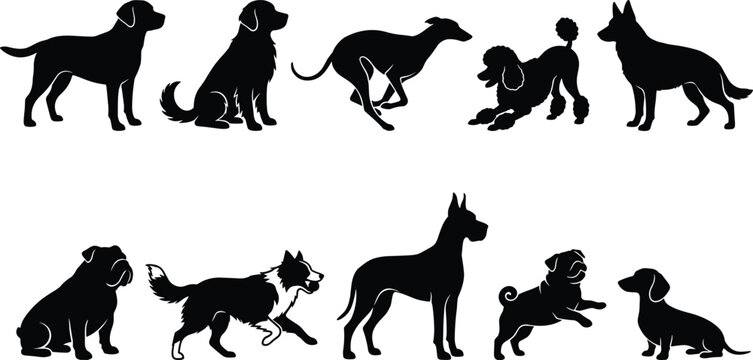 Black Silhouettes of Dog Breeds Collection for Pet and Animal Design Projects