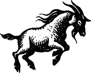 Fototapeta premium Vintage woodcut print of leaping goat, symbol of Chinese New Year 2027