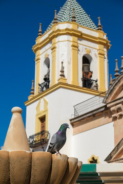 Church Tower with Pigeon in Ronda, Spain