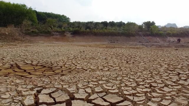 A barren landscape of cracked dry earth under a clear sky, evoking a sense of drought and desolation. The ground is a mosaic of polygonal shapes, remnants of what was once fertile soil.