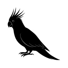 Black silhouette cockatoo bird standing on transparent background isolated graphic © MASUDA