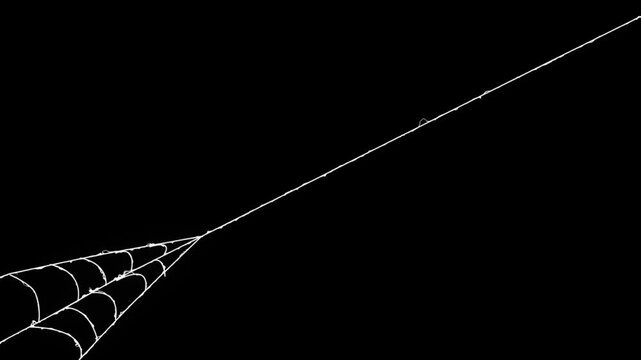 Spider man web launch animation on black screen, dynamic elastic silk thread blast with rapid stretching motion, realistic cobweb VFX overlay for action sequences, ultra HD 4k seamless loop element