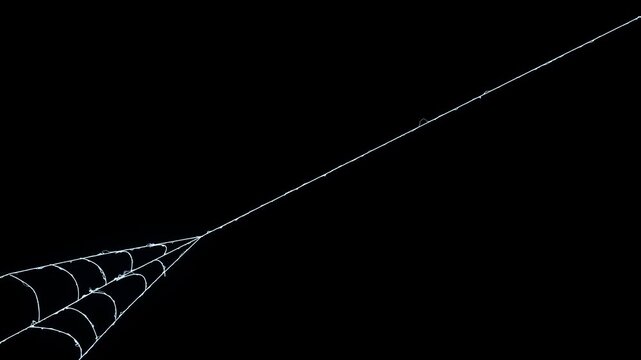Superhero style spider web shooting animation on black screen, dynamic elastic silk threads with fast stretching motion, high detail cobweb VFX element for action scenes, ultra HD 4k background loop