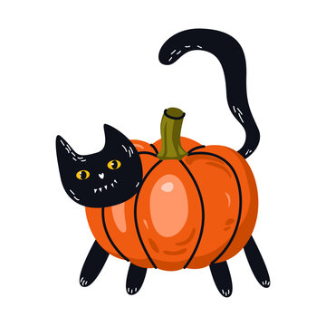 Black cat in a pumpkin. Festive orange vegetable. Illustration for Halloween