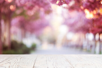 Fototapeta premium Empty table against blurred alley with blooming spring trees, bokeh effect. Space for design