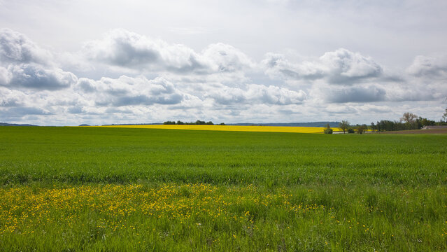 Landscape along the Franconian Beer Trail in Germany.