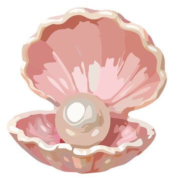 Pearl in oyster shell illustration