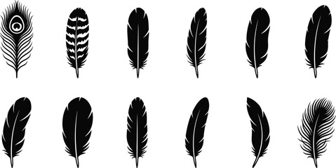 Black feather icons, feather silhouettes, vector feathers, 10 feather graphics © Bristy