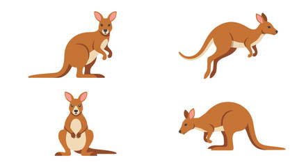 Kangaroo Illustrations In Flat Design Various Poses And Views © Gazi.