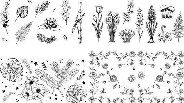 Collection of various hand drawn flowers, leaves, plants, and natural elements including lotus, pineapple, mushroom, bamboo, and fern.