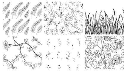 Obraz premium Elegant botanical seamless pattern set featuring ivy vines fern leaves wild grass fields and monstera foliage sketches on transparent background vector art.