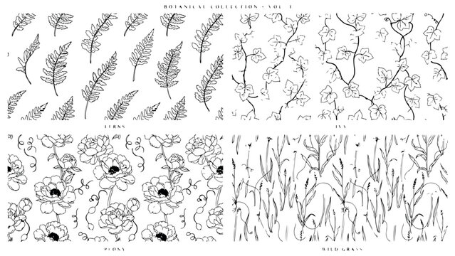 Detailed peony floral pattern and wild grass meadow sketches with fern leaves and ivy vine illustrations in vintage ink style on transparent background set.