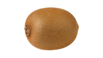 Fototapeta premium Kiwi fruit sits on a plain background showing its brown skin and round shape