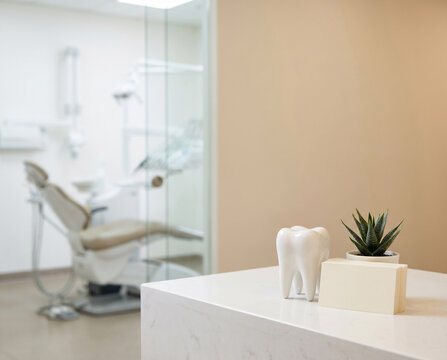 Dental reception counter with tooth model and copy space