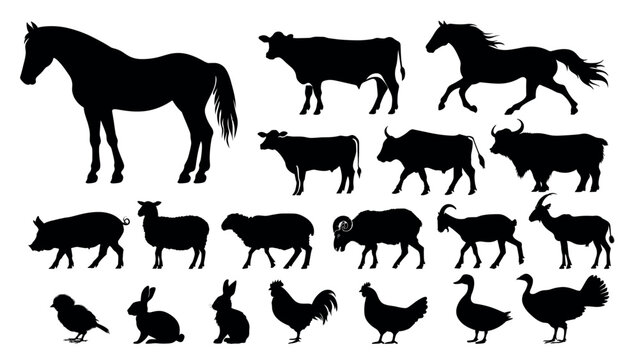 Farm animal silhouettes collection vector
