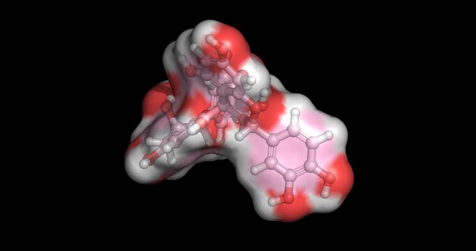 Procyanidin B2, antioxidant and flavonoid for cardiovascular health and hair growth stimulation, 3D molecule spinning, 4K


