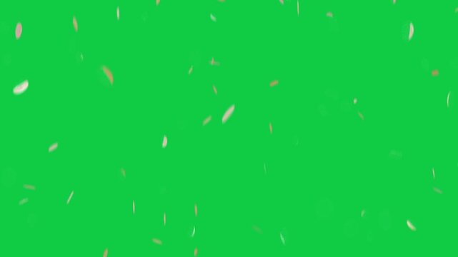 Top entry sending gold confetti drifting down and rotating, making flashes as transparent overlay