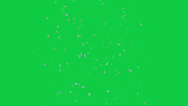 Stream spawning above, falling, rotating, dispersing, showing pastel pearl sheen on transparent bg