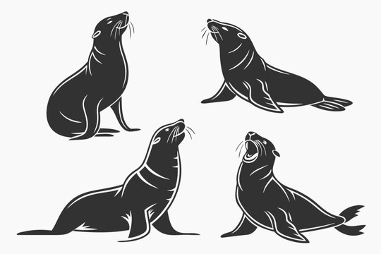 Four sea lions in playful poses vector illustration