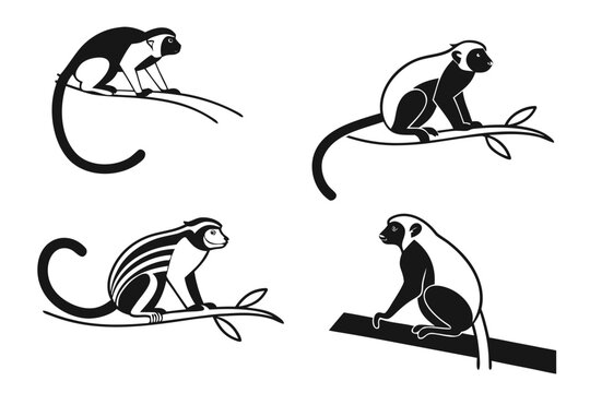 Monkey illustrations in different sitting poses