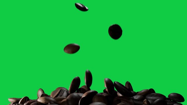 Roasted coffee beans falling from above, causing pile shifting and settling on transparent backdrop