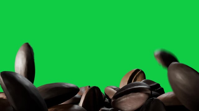Center bean rising, turning, causing beans arcing, bumping, settling, showing gloss on transparent