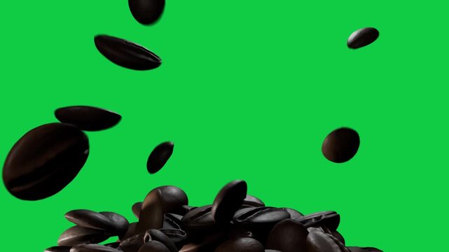 Dark roasted beans dropping from above striking pile, forming smooth heap on transparent void