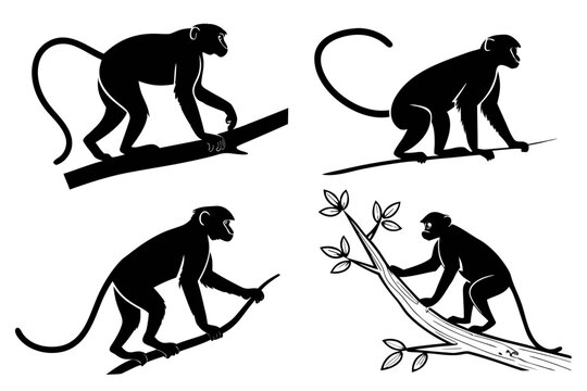 Black and white monkey vector illustrations