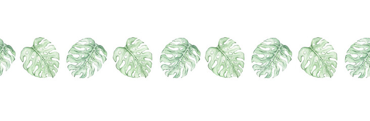 Watercolor seamless border with monsteras. Hand-drawn horizontal banner with tropical monstera leaves. Ribbon and tape design. Botanical illustration, tropical, exotic leaves. © Yana