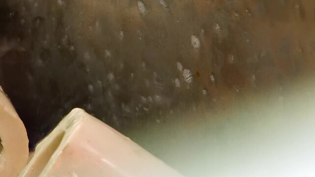 Captivating movement of water within an air hydro filter device. Foaming liquid actively washes away impurities, purifying the air with a relentless, gentle flow. Witness the unseen work.