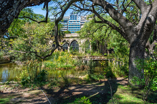 Scenic park with a pond and lush trees in front of a historic building and modern apartment complex in Buenos Aires