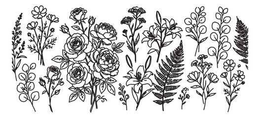 Fototapeta premium Vintage botanical line art collection, hand drawn wildflower and rose floral sketches, black ink garden herb and leaf vector set for wedding invitations