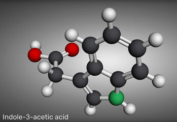 Obraz premium Indole-3-acetic acid molecule. Indoleacetic acid, IAA, heteroauxin, major plant hormone, auxin derivative, plant growth regulator, 3d render