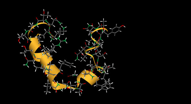 Amylin, glucoregulatory peptide hormone molecule. Islet amyloid polypeptide, IAPP, pancreatic hormone, peptide hormone, alpha-helix secondary structure ribbon, black background. 3D render