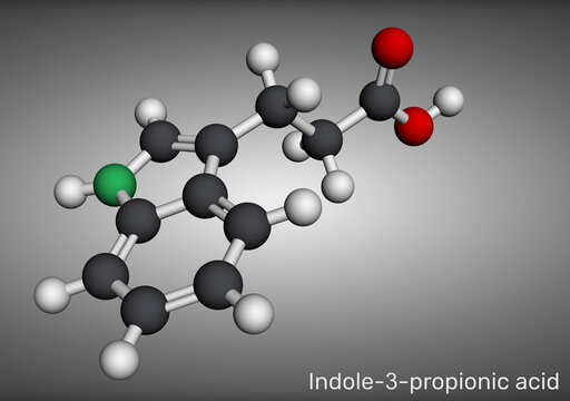 Indole-3-propionic acid (3-Indolepropionic) molecule. Indolepropionic acid, gut microbiota metabolite, plant hormone auxin derivative, neuroprotectant, antioxidant. 3D render