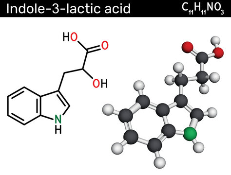 Indole-3-lactic acid molecule, structural chemical formula, 3D model. Indolelactic acid, tryptophan metabolite, gut microbiota biomarker, biochemistry