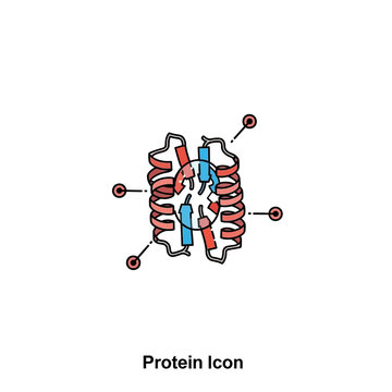Protein Structure Diagram